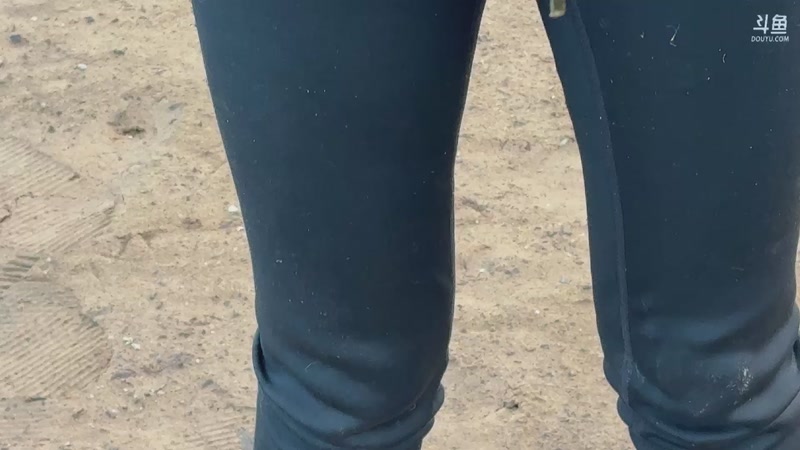 【2025-11-13 16点场】主播阿郎：荒野求生Day10-最后一夜