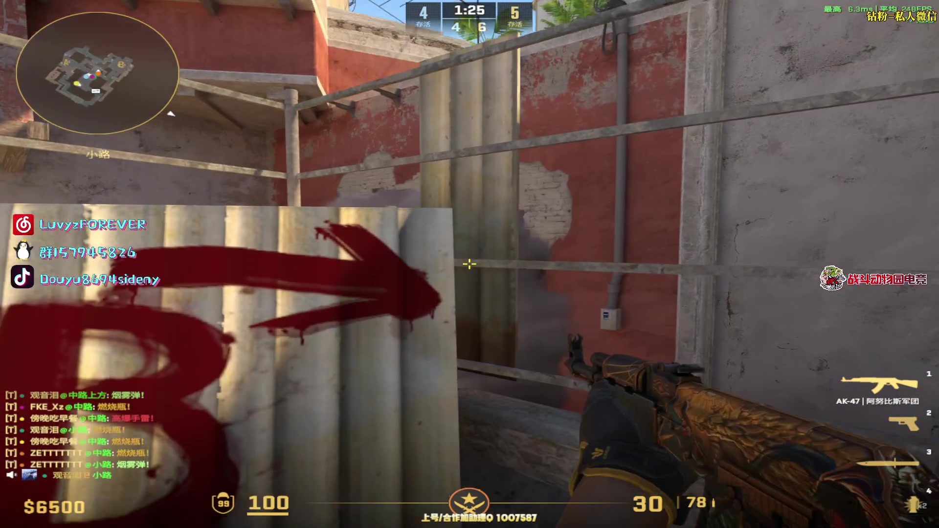 【2025-11-12 22点场】Sideny蛇：【呆猪】健康哥（伪）