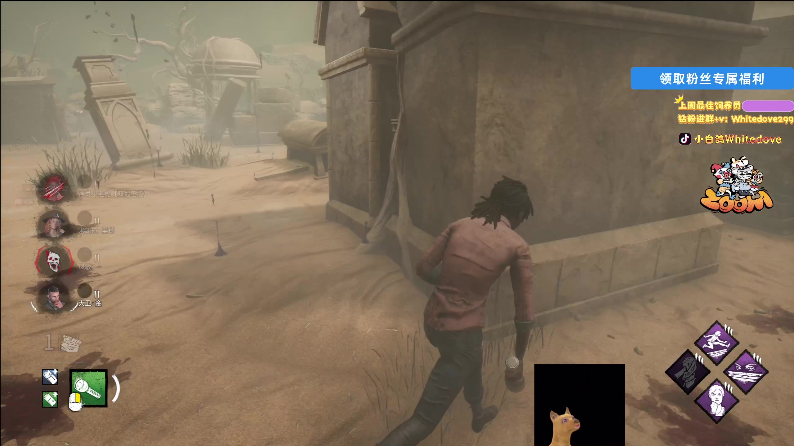 【2025-11-13 21点场】小白鸽WhiteDove：【ZOOM电竞】人不舒服 今天随便播下