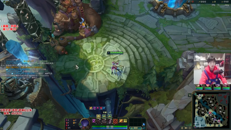 P10蜘蛛vs大虫子