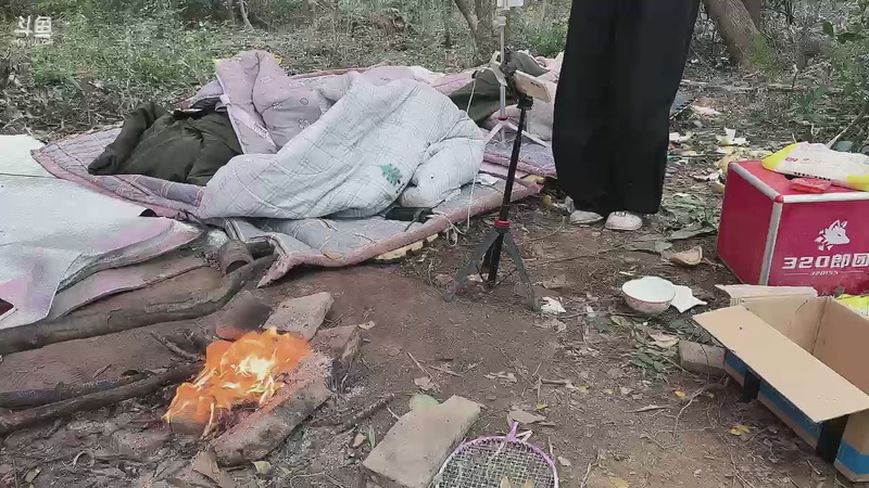 【2025-11-13 10点场】主播阿郎：荒野求生Day10-14号中午结束