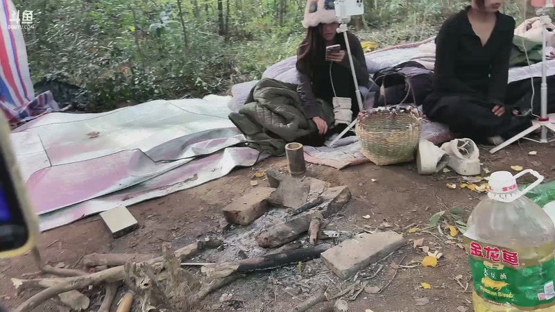 【2025-11-13 14点场】主播阿郎：荒野求生Day10-14号中午结束