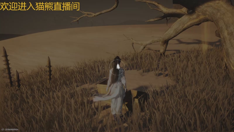 【2025-11-07 12点场】冬眠的猫熊F：新人第一天--燕云十六声