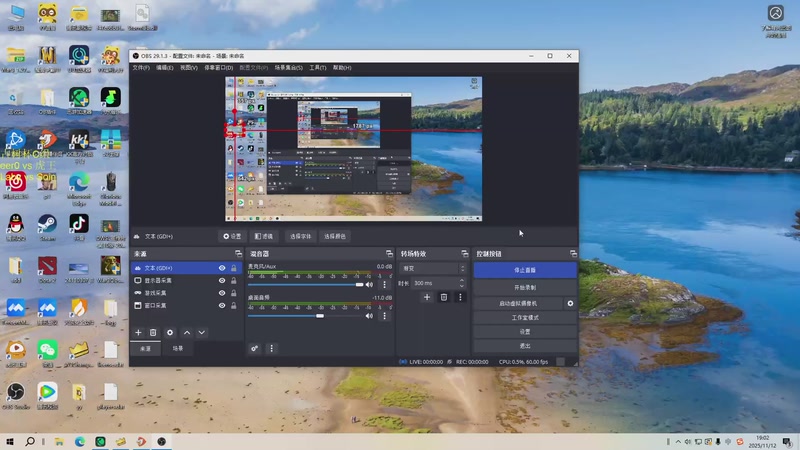 【2025-11-12 19点场】iameer0：【直播】7点古树杯