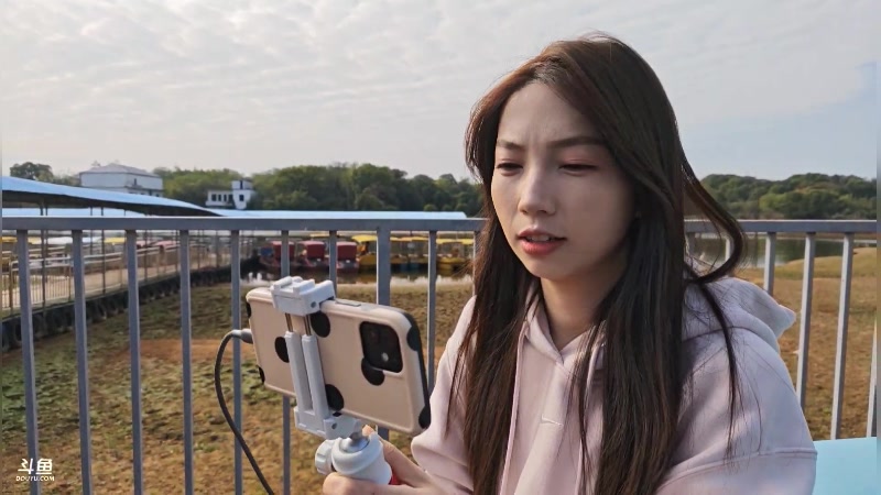 【2025-11-14 13点场】午夜抹抹茶：团播第五天，蛤蟆落地