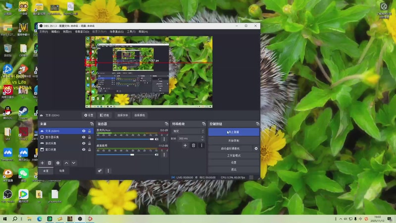 【2025-11-13 19点场】iameer0：【直播】7点古树杯