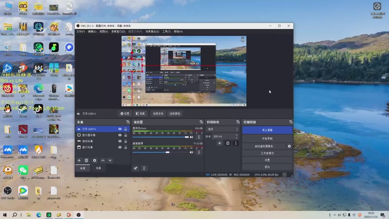 【2025-11-14 18点场】iameer0：【直播】6点古树杯