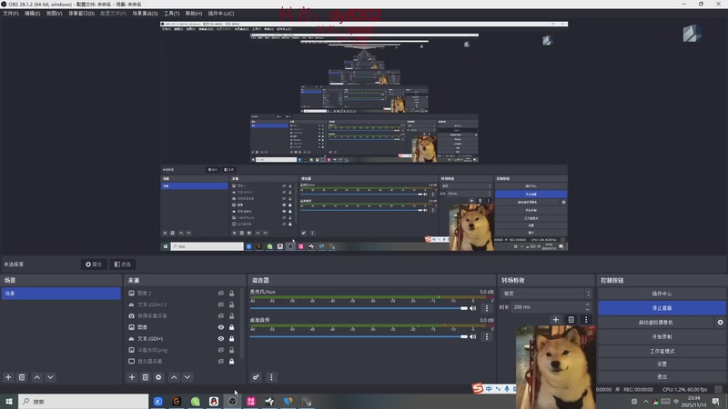 【2025-11-13 23点场】祈风1v9：国服第一VN！一个打八百多个！