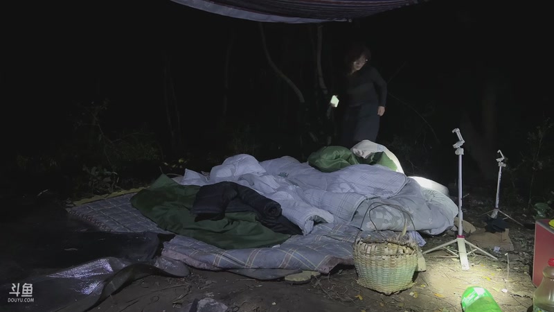 【2025-11-13 23点场】主播阿郎：荒野求生Day8