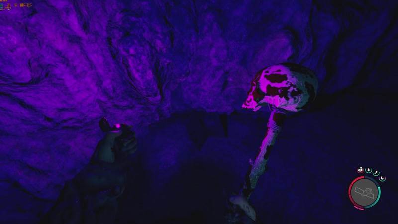 【2025-11-15 00点场】可爱的小硅頭：随便玩玩 9180356