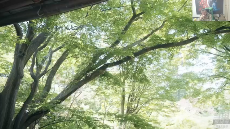 【2025-11-15 21点场】异灵术老师：异灵术：开心快乐93589