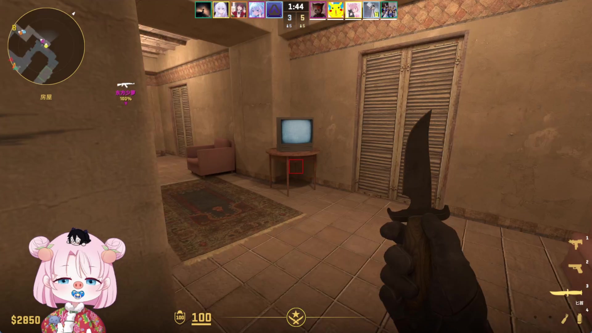 【2025-11-14 完整版】吃桃芝的猫：【小奶团】有你的每一天都很精彩