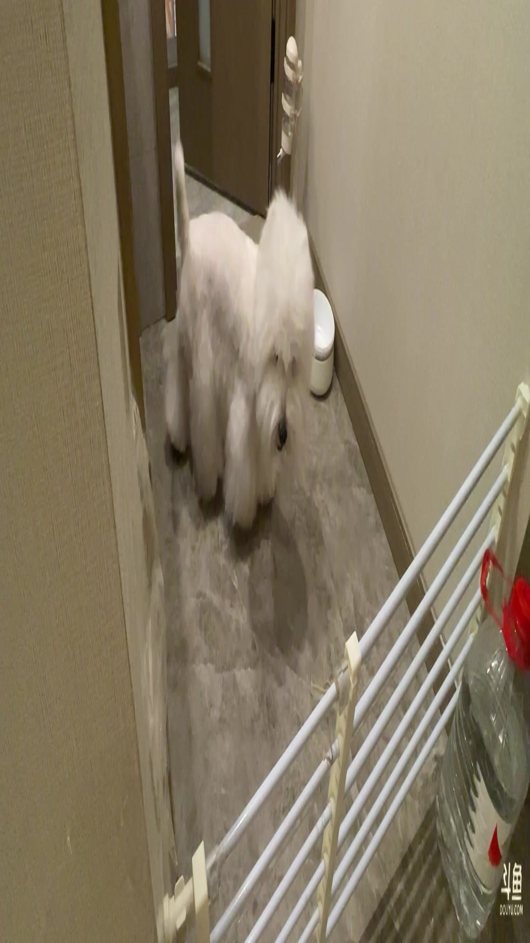 【2025-11-16 19点场】菜到极致小兰摧：【钻石双倍】和平集市夺宝活动开启！！