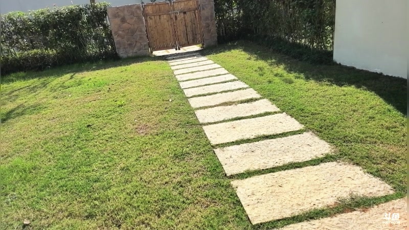 【2025-11-16 13点场】谢彬DD：喂,在吗?进来看Show了.