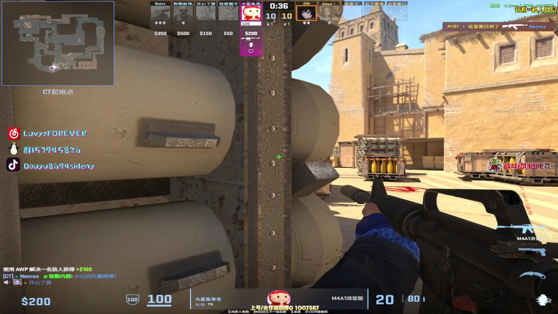 【2025-11-16 00点场】Sideny蛇：【呆猪】健康哥（伪）