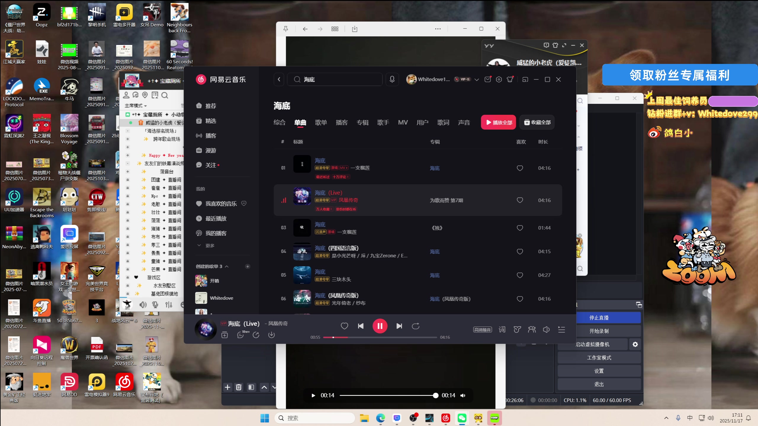 【2025-11-17 16点场】小白鸽WhiteDove：【小白鸽】 宝宝们 集合！