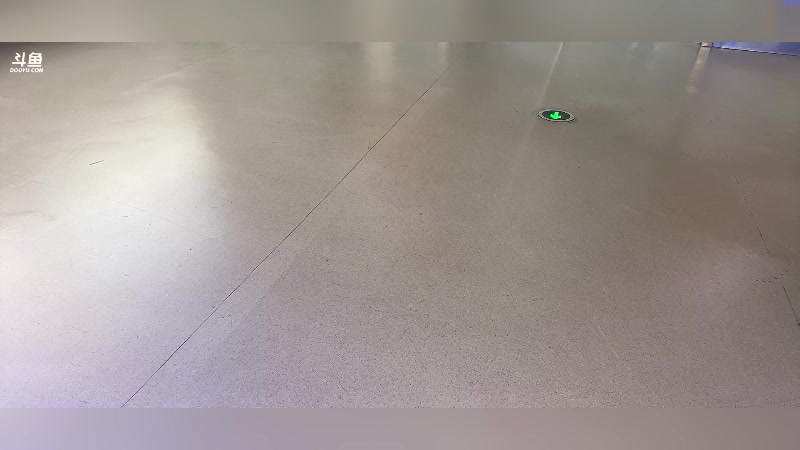 【2025-11-17 16点场】亚瑟王丶Z：来给拖米接机啦！