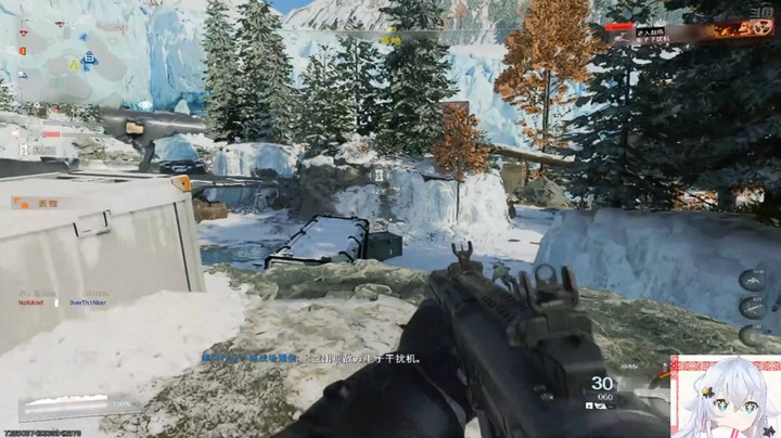 【使命召唤】冰之树的精彩时刻 20251117 19点场