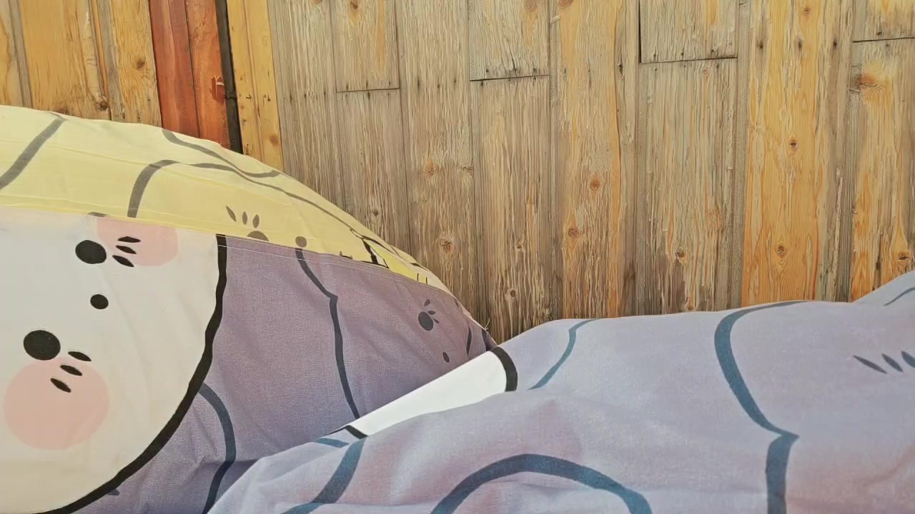 【2025-11-17 07点场】王大谋119：《奶团》和阿飞同居的第一天