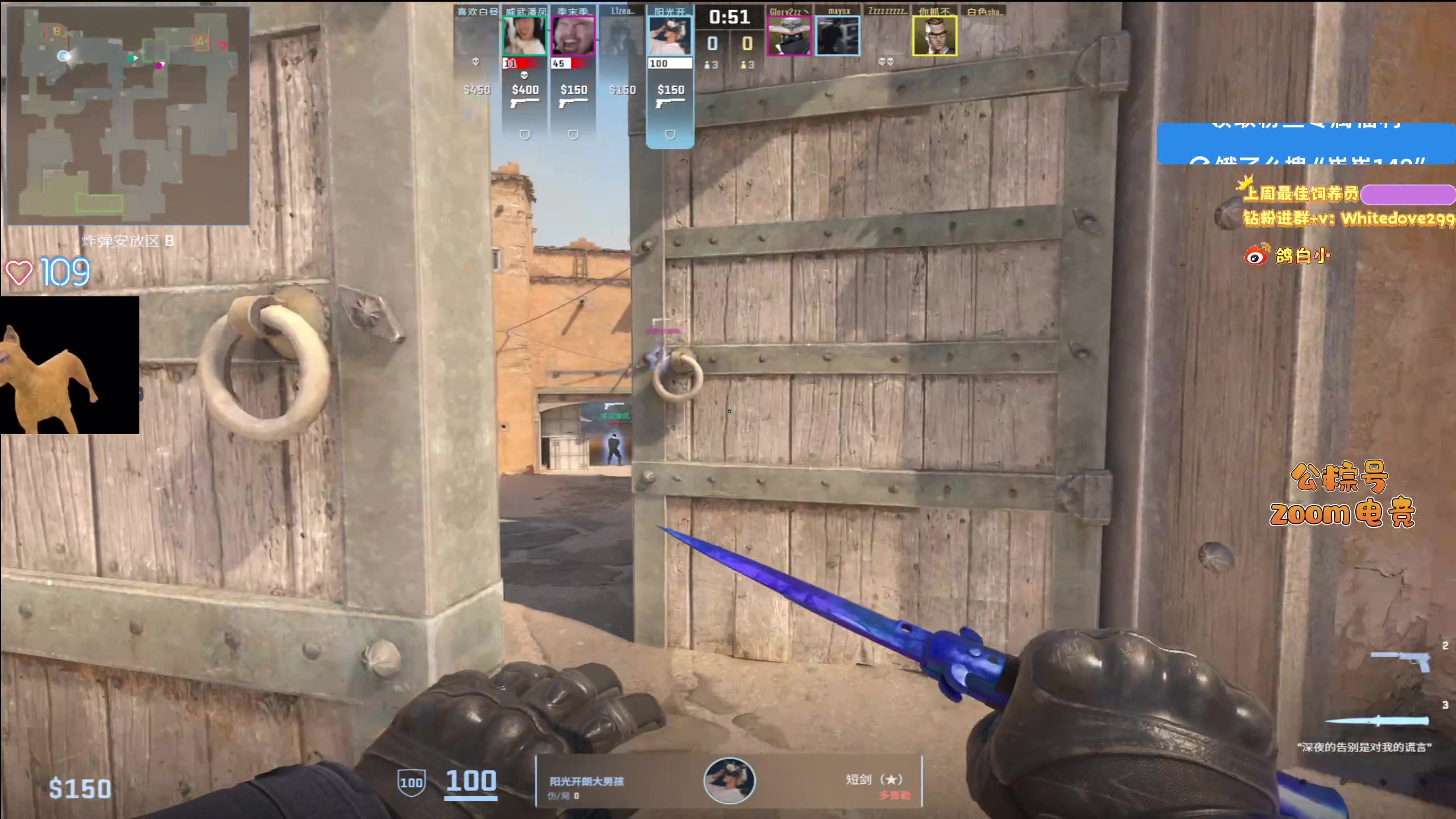 【2025-11-17 19点场】小白鸽WhiteDove：【小白鸽】 宝宝们 集合！