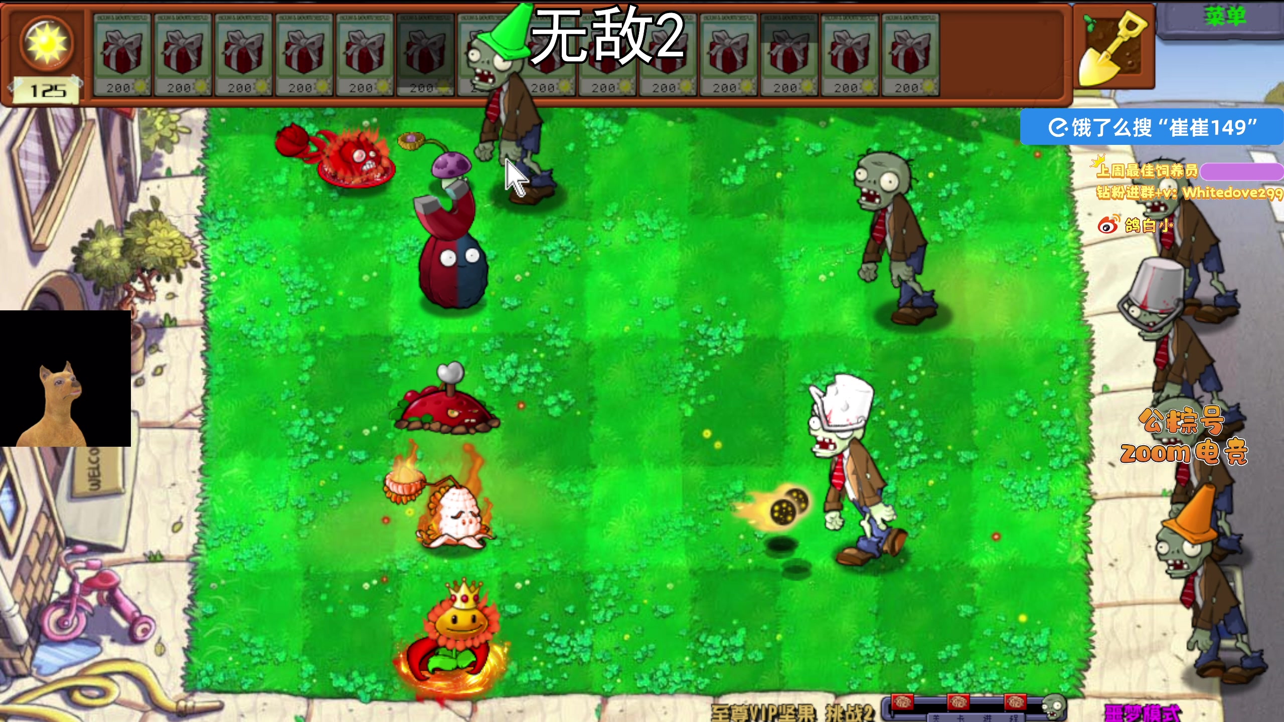 【2025-11-18 17点场】小白鸽WhiteDove：【小白鸽】 宝宝们 集合！