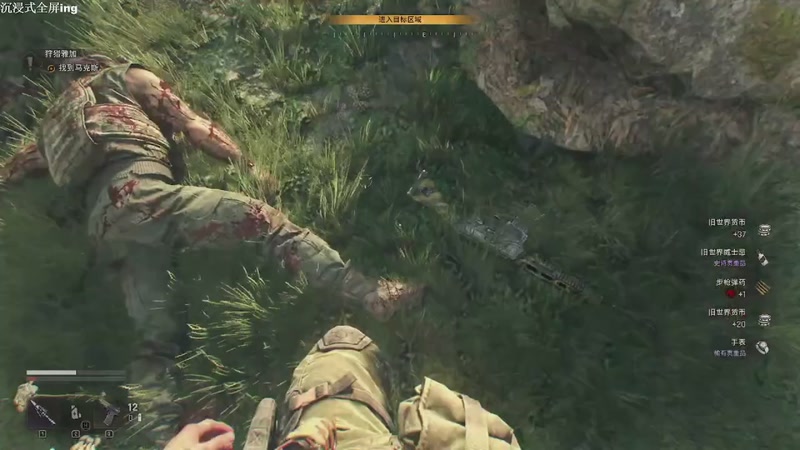 【2025-11-18 09点场】帅帅的汪团：消逝的光芒第3部：困兽