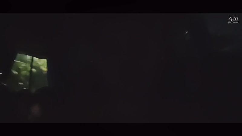 【2025-11-18 完整版】隐者丶丶：【小蜜蜂】马场丛林法则