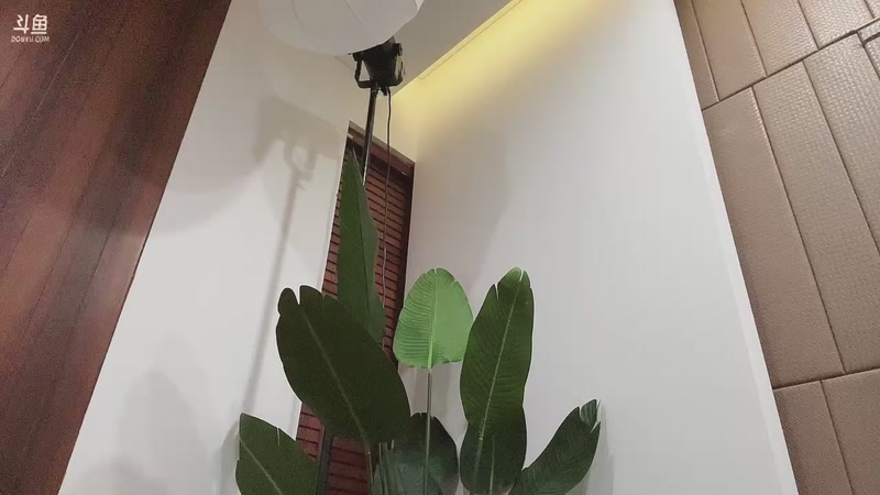 【2025-11-18 18点场】冲酱ccc：好事番倍，柿柿顺意！