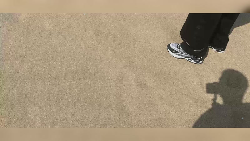 【2025-11-18 11点场】恐惧之鸦牛牛:聊聊天！！！！