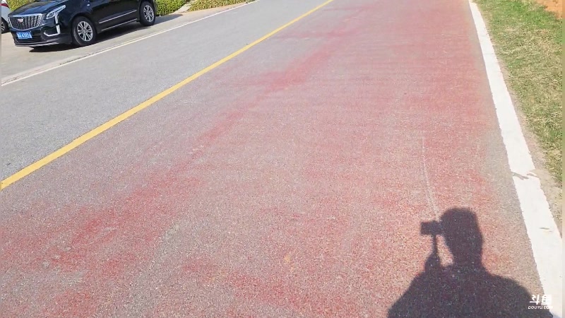 【2025-11-19 13点场】谢彬DD：喂,在吗?进来看Show了.