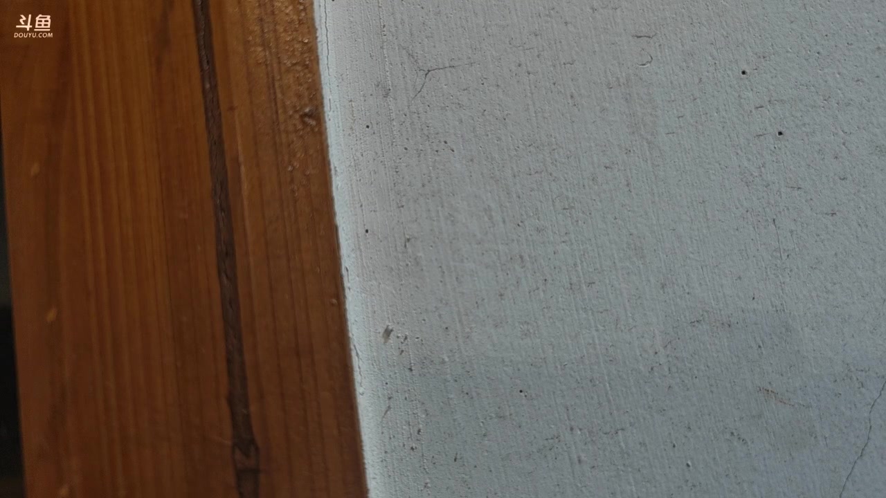 【2025-11-19 完整版】霸气虚幻哥1991：帐篷来咯！73965