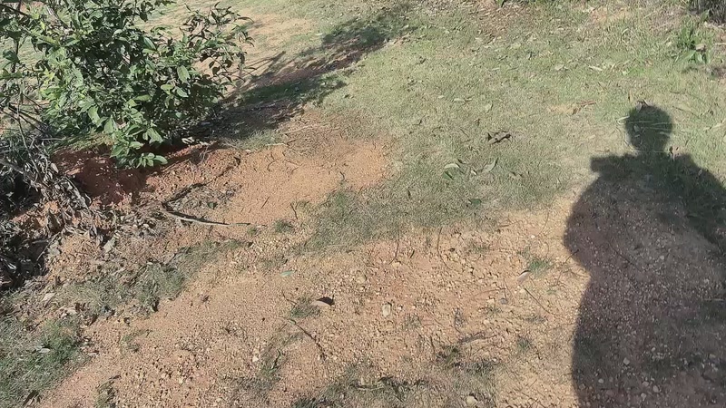 【2025-11-19 14点场】主播阿郎：户外生存第二季