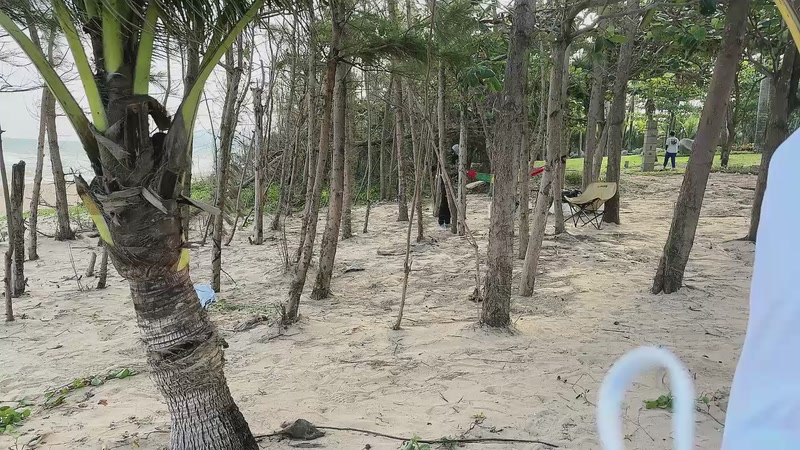 【2025-11-19 完整版】冲酱ccc：好事番倍，柿柿顺意！