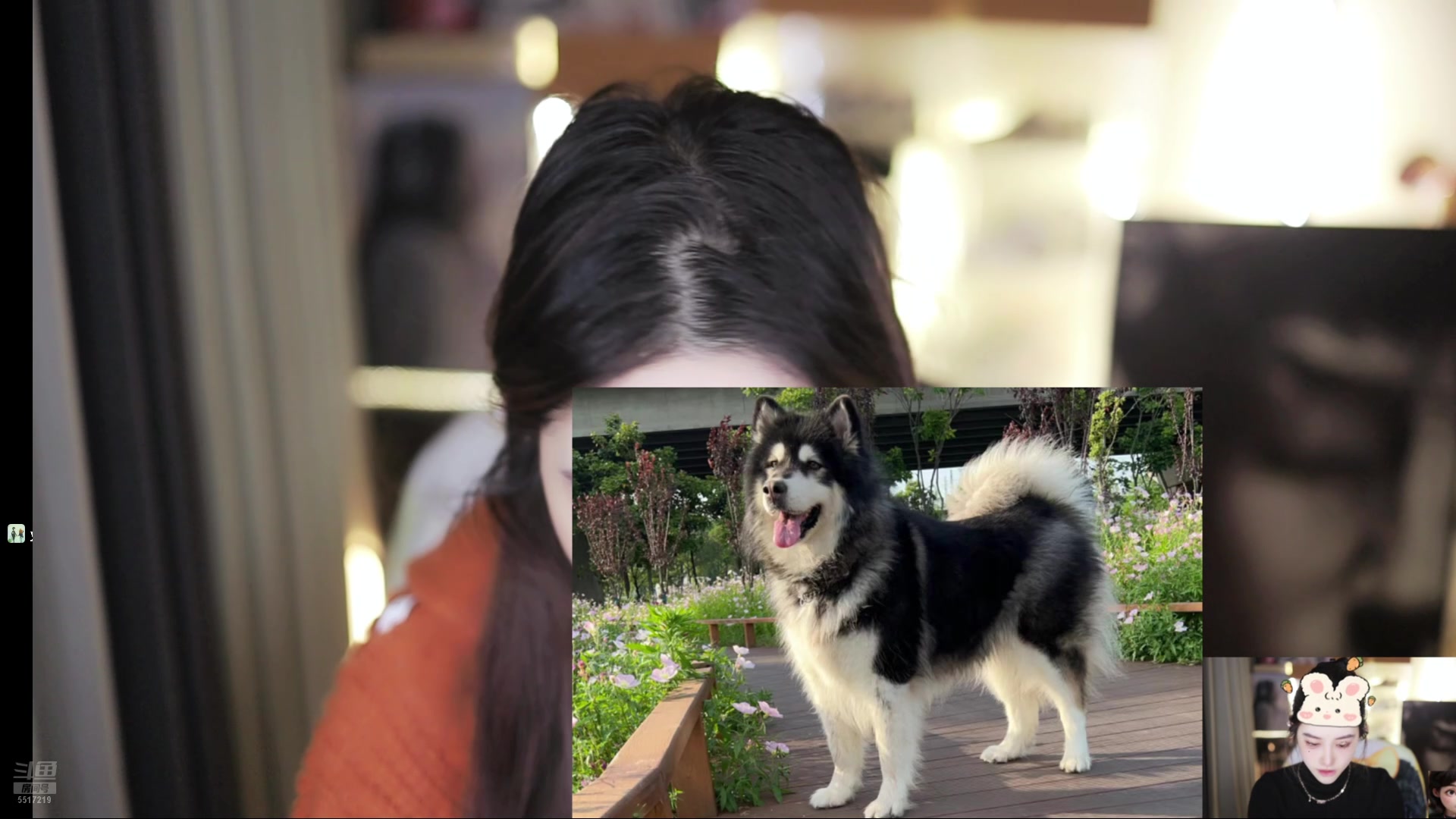 【2025-11-19 11点场】李哥儿DoubleLee：爱财爱己风生水起 5517219