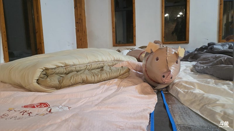 【2025-11-19 03点场】谢彬DD：喂,在吗?进来看Show了.