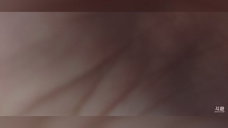 【2025-11-19 14点场】隐者丶丶：【小蜜蜂】马场丛林法则