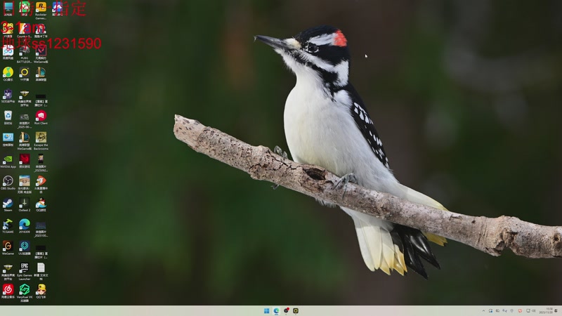 【2025-11-20 15点场】14德莱文：最胡的符文大乱斗