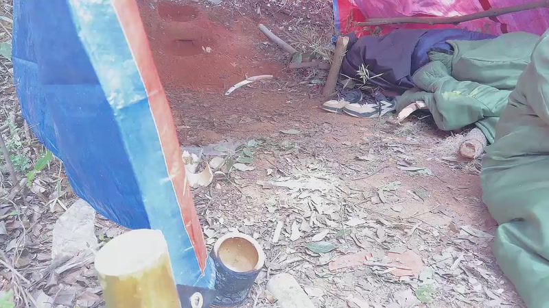 【2025-11-20 10点场】主播阿郎：户外生存第二季