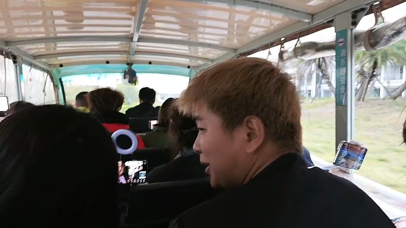 【2025-11-20 完整版】主播阿飞：第6天 全力