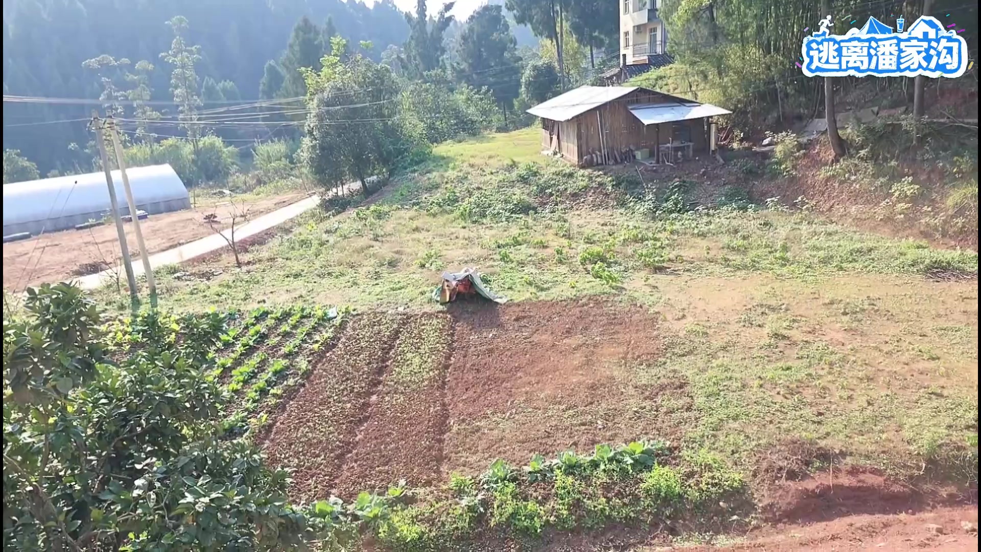 【2025-11-20 14点场】南波儿大魔王丶：测评！云顶新赛季