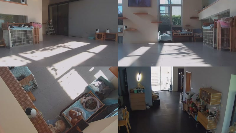 【2025-11-20 10点场】喵放送：喵放送☀️喵呜~