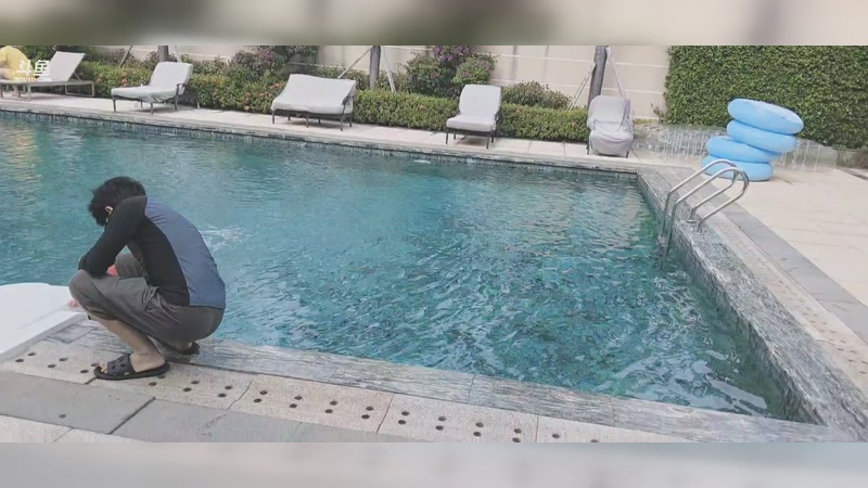 【2025-11-20 完整版】隐者丶丶：【小蜜蜂】马场丛林法则