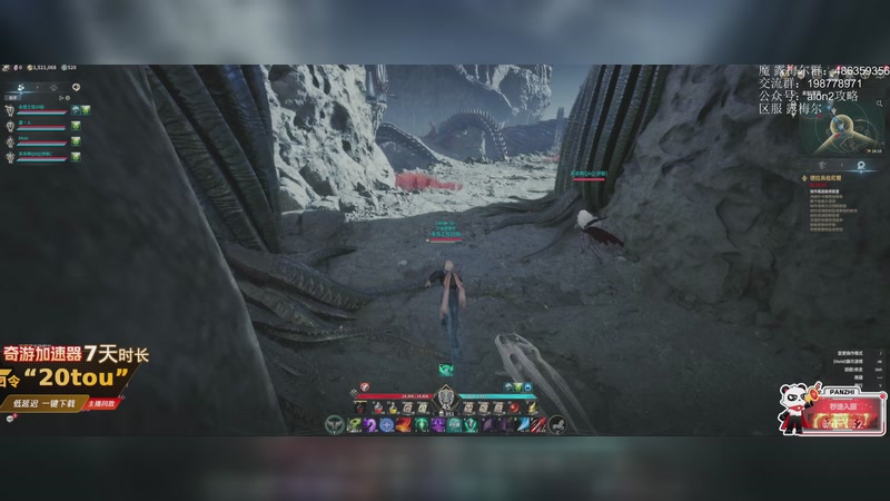 【2025-11-20 00点场】主播20投：【永恒之塔2】公测开启！露梅尔