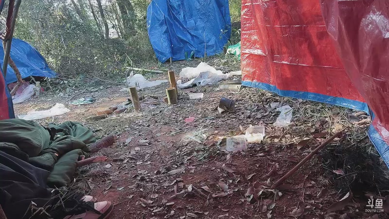 【2025-11-20 08点场】主播阿郎：户外生存第二季