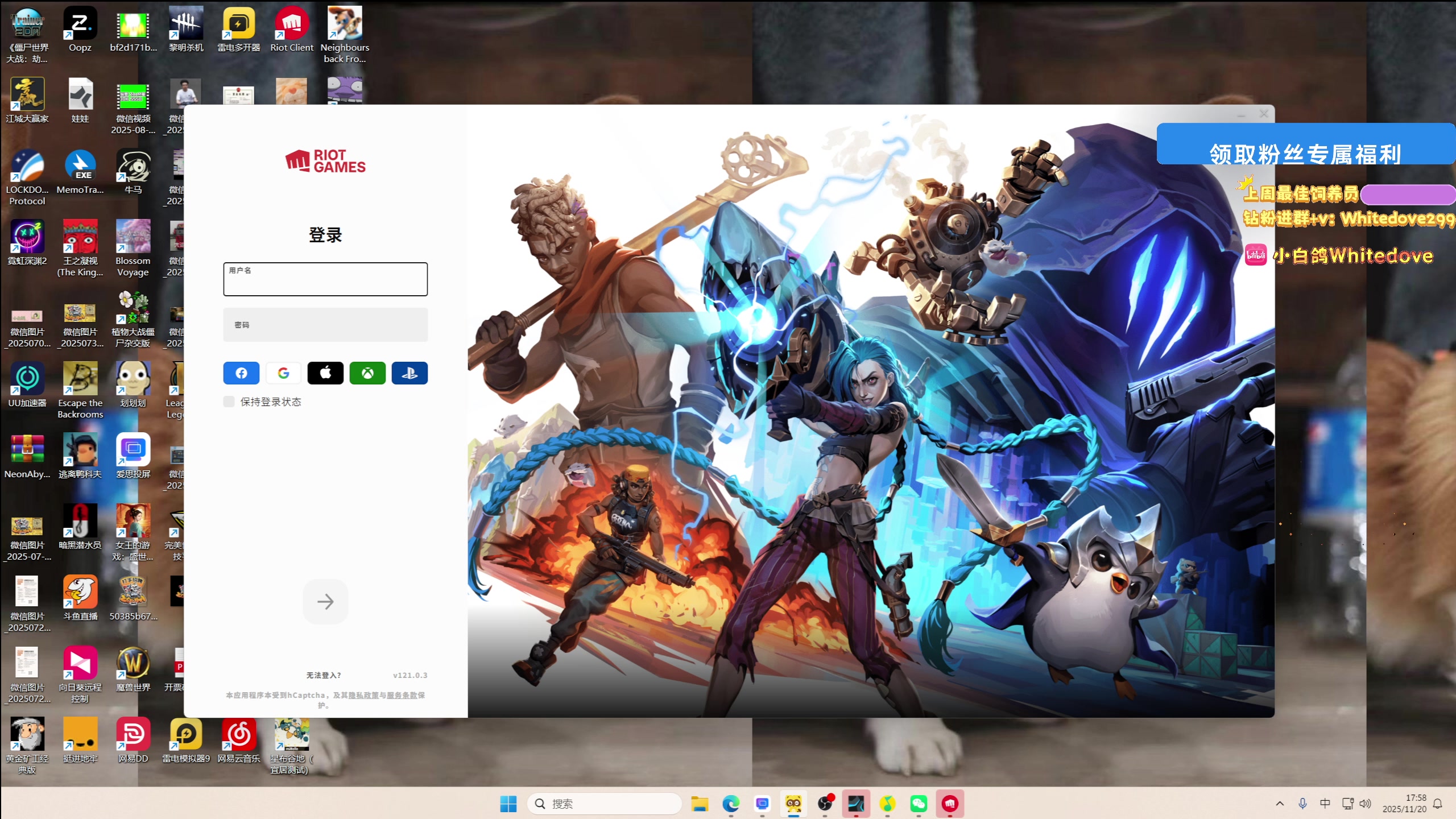 【2025-11-20 17点场】小白鸽WhiteDove：【小白鸽】 宝宝们 集合！