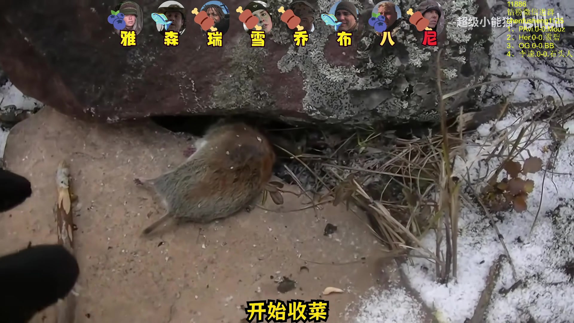 【2025-11-20 16点场】Zhou陈尧：看看比赛~ 88660