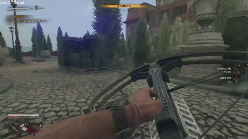 【2025-11-21 00点场】帅帅的汪团：消逝的光芒第3部：困兽