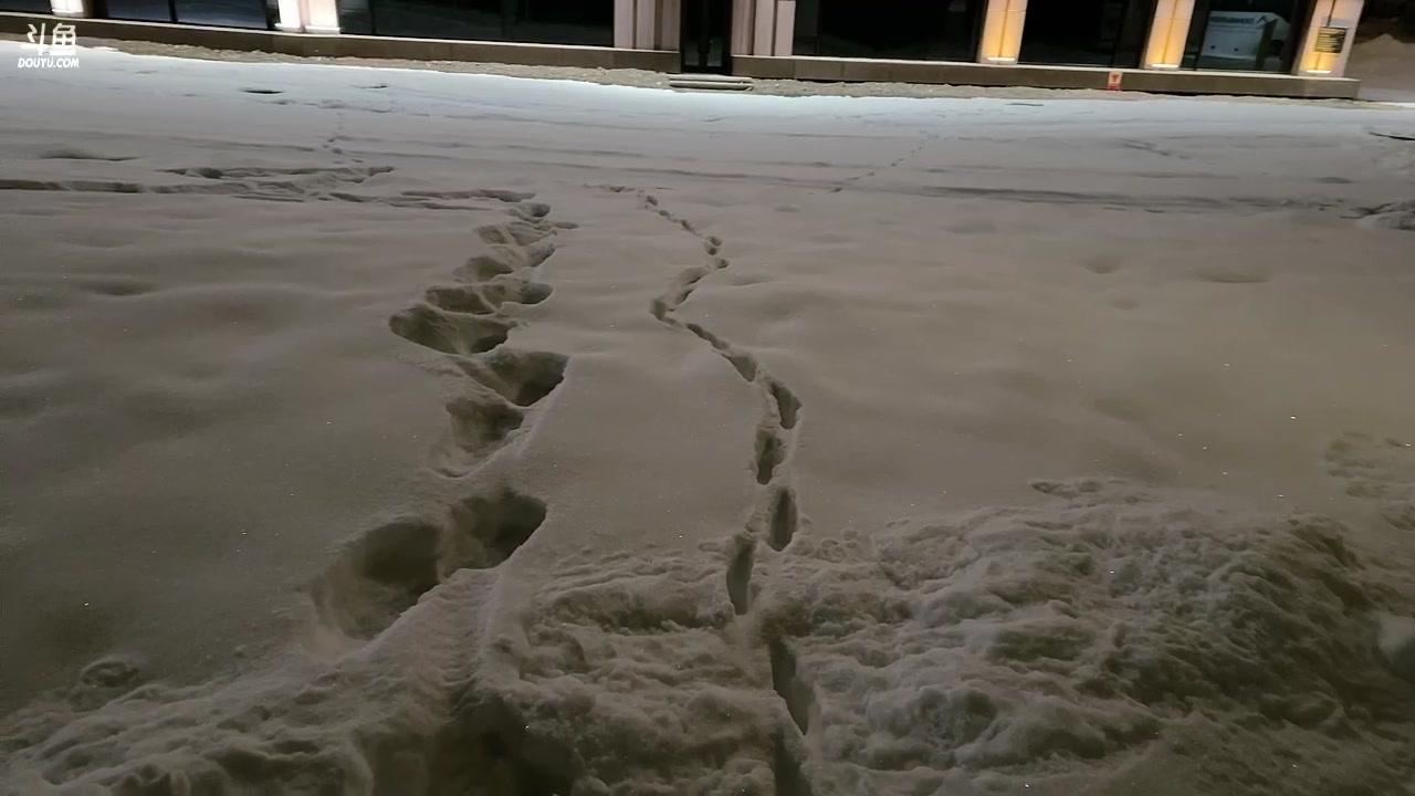 【2025-11-20 23点场】菜到极致小兰摧：【钻石双倍】和平集市夺宝活动开启！！