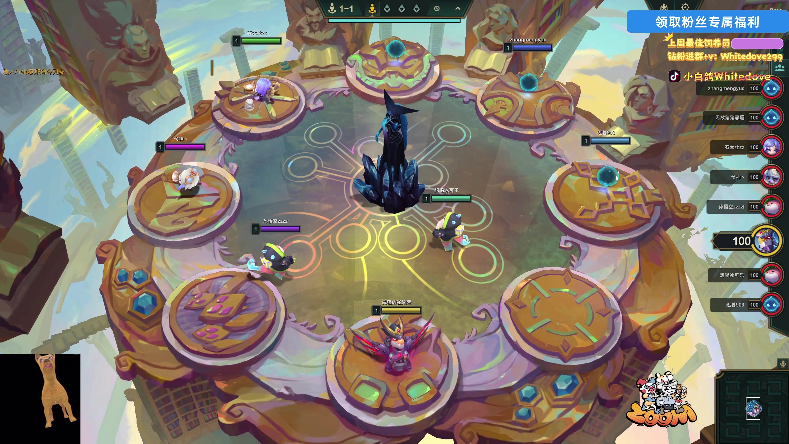 【2025-11-20 22点场】小白鸽WhiteDove：【小白鸽】 宝宝们 集合！