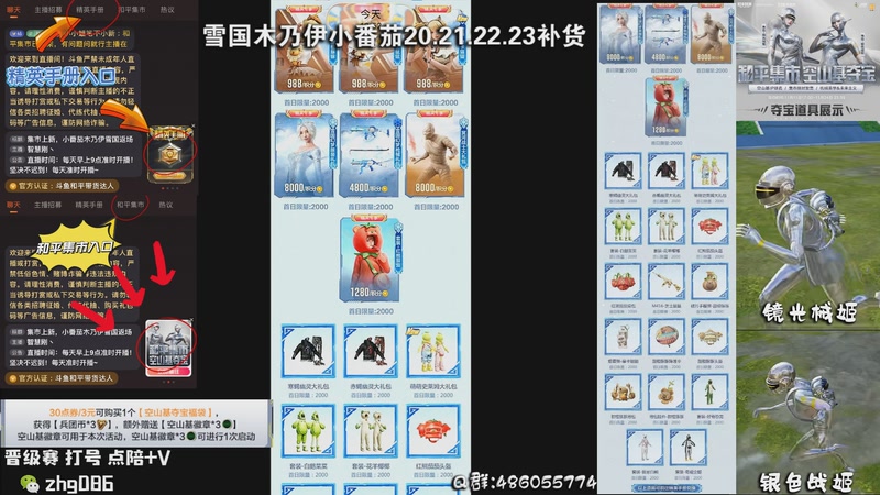 【2025-11-21 17点场】智慧刚丶：不锈钢【集市】6点小番茄木乃伊雪国补货